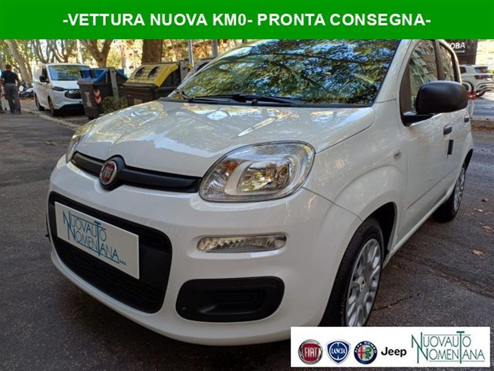 Panda Panda Pandina 1.0 FireFly