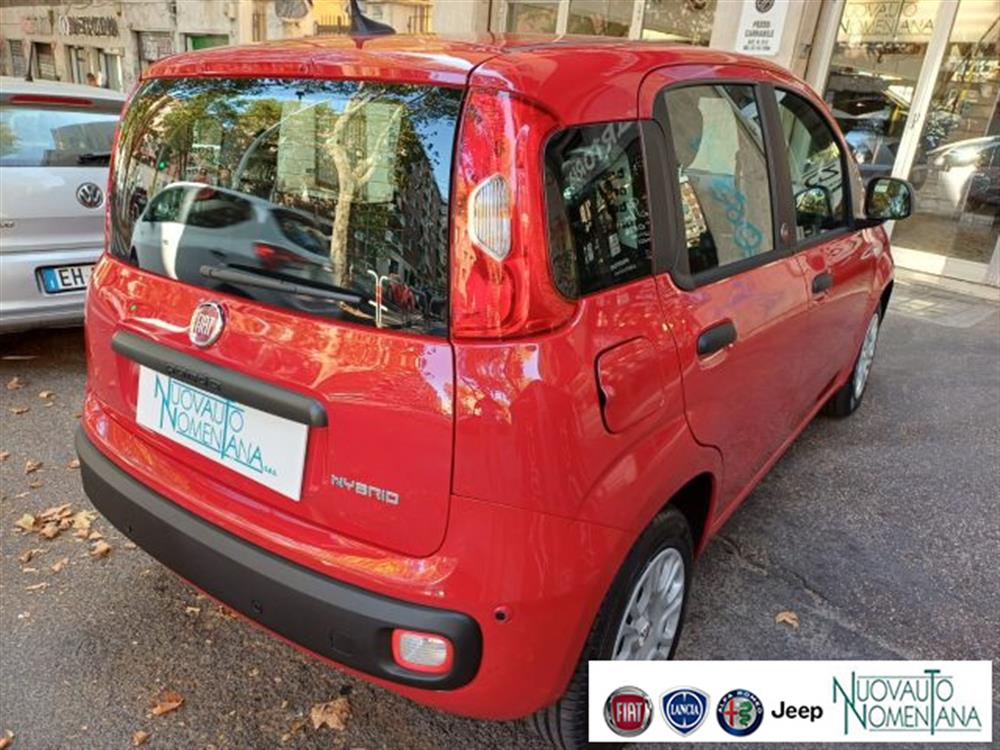 Panda Panda Pandina 1.0 FireFly