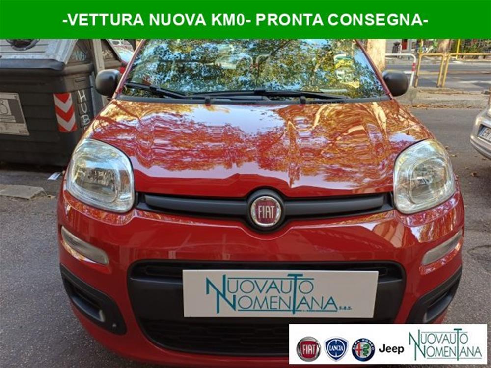 Panda Panda Pandina 1.0 FireFly