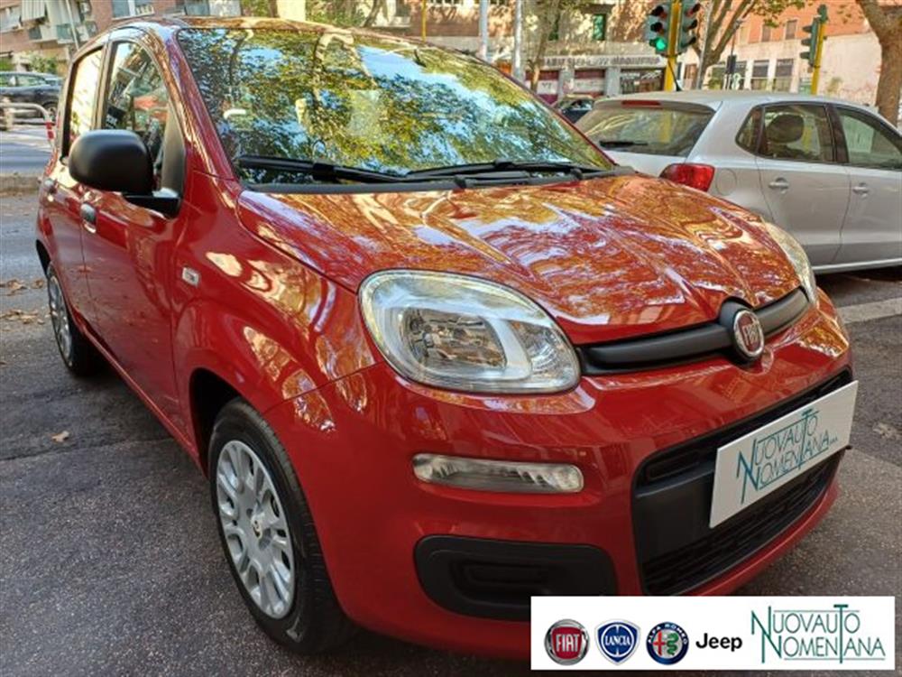 Panda Panda Pandina 1.0 FireFly