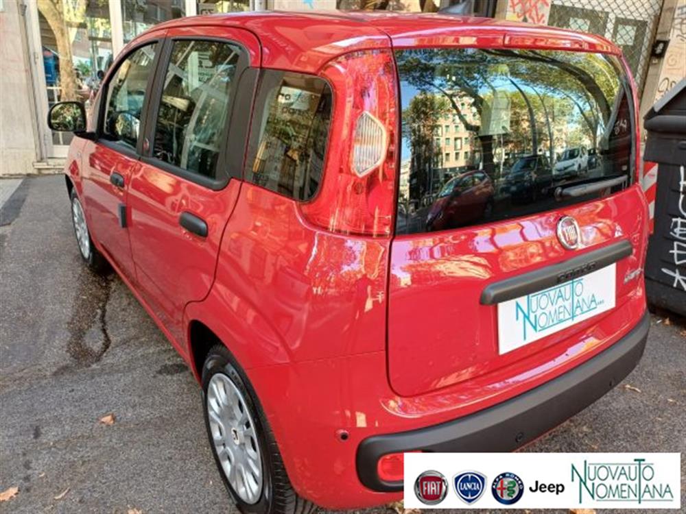 Panda Panda Pandina 1.0 FireFly