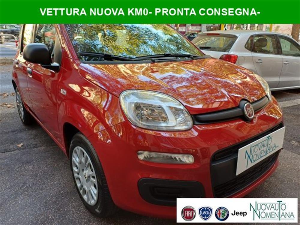 Panda Panda Pandina 1.0 FireFly