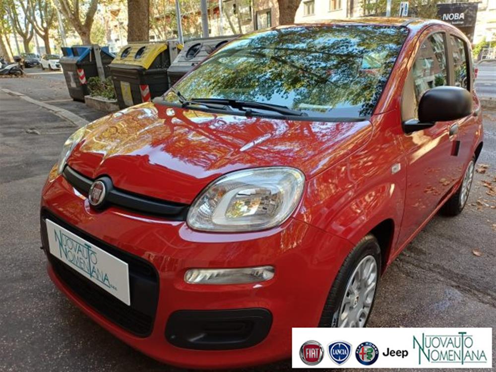 Panda Panda Pandina 1.0 FireFly