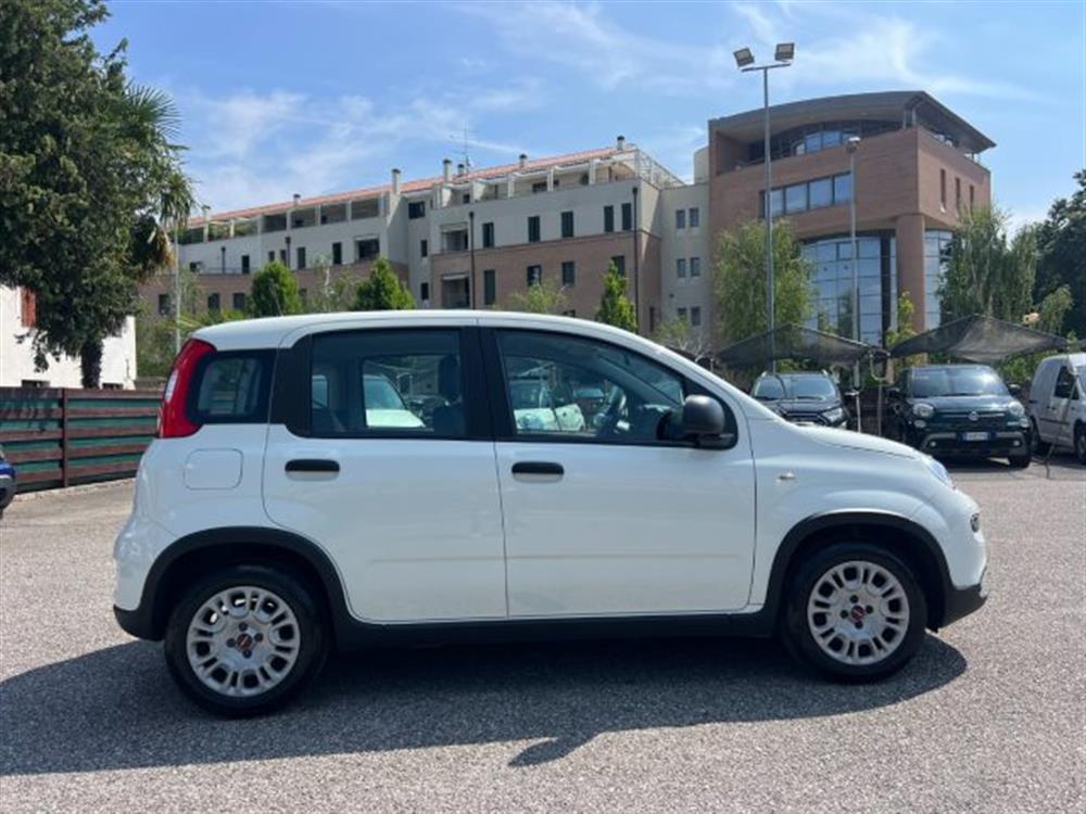 Panda Panda 1.0 FireFly S&S Hybr