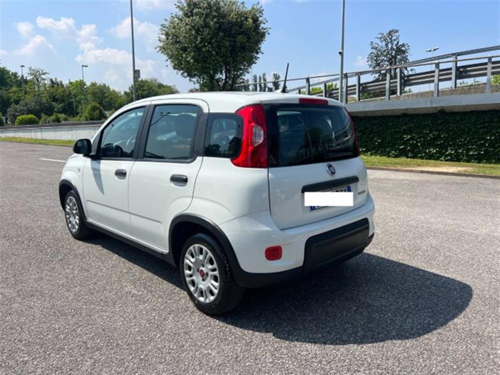 Panda Panda 1.0 FireFly S&S Hybr
