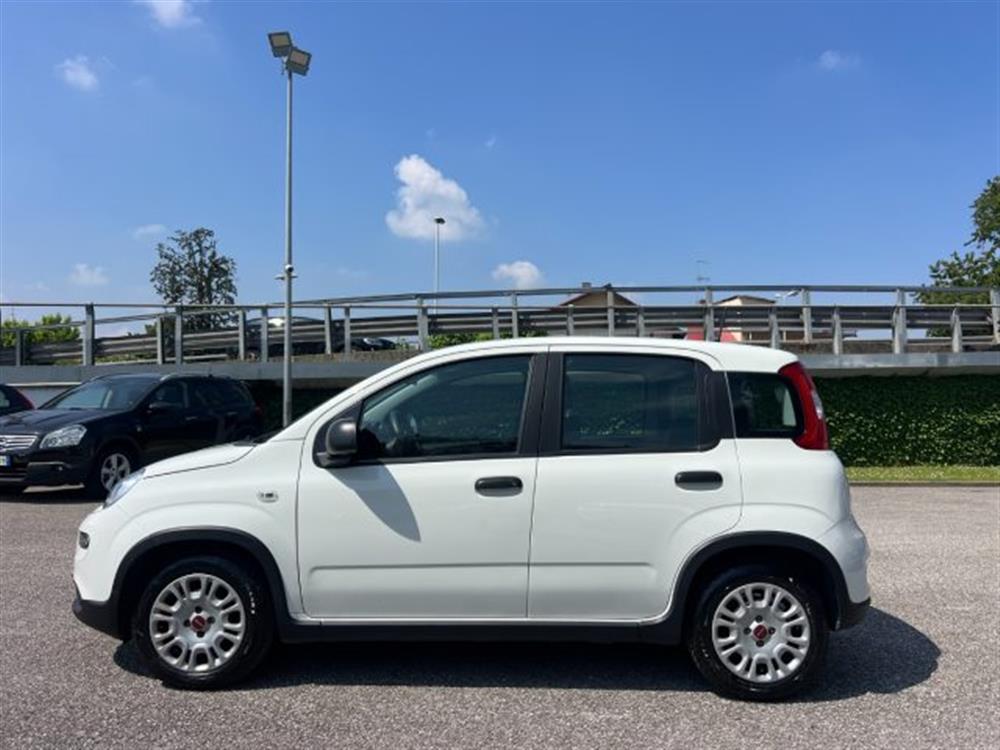 Panda Panda 1.0 FireFly S&S Hybr