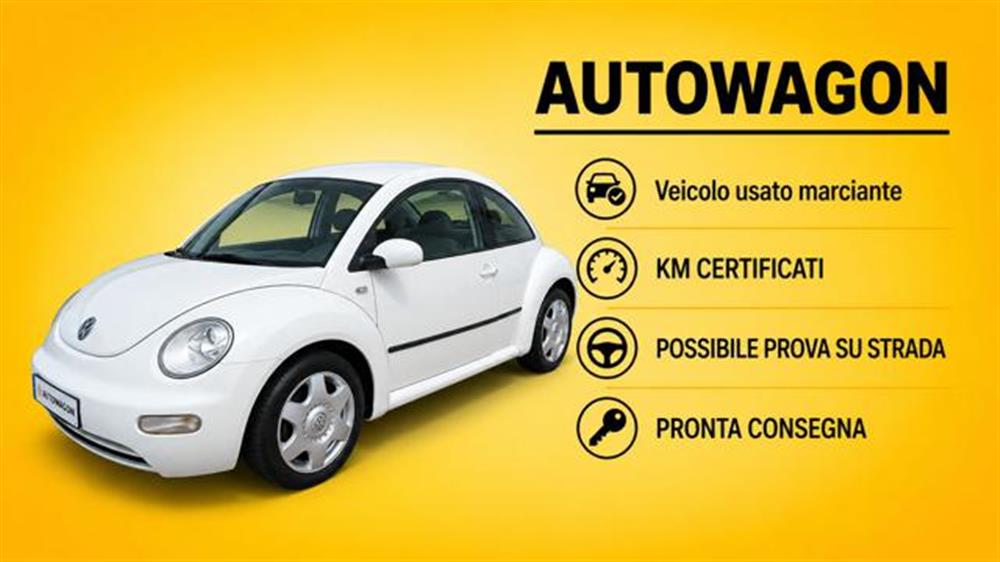 New Beetle New Beetle 1.9 TDI 90 Cv Ma