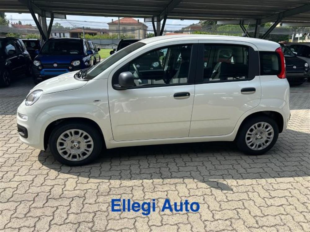 Panda Panda 1.0 HYBRID ICON KM