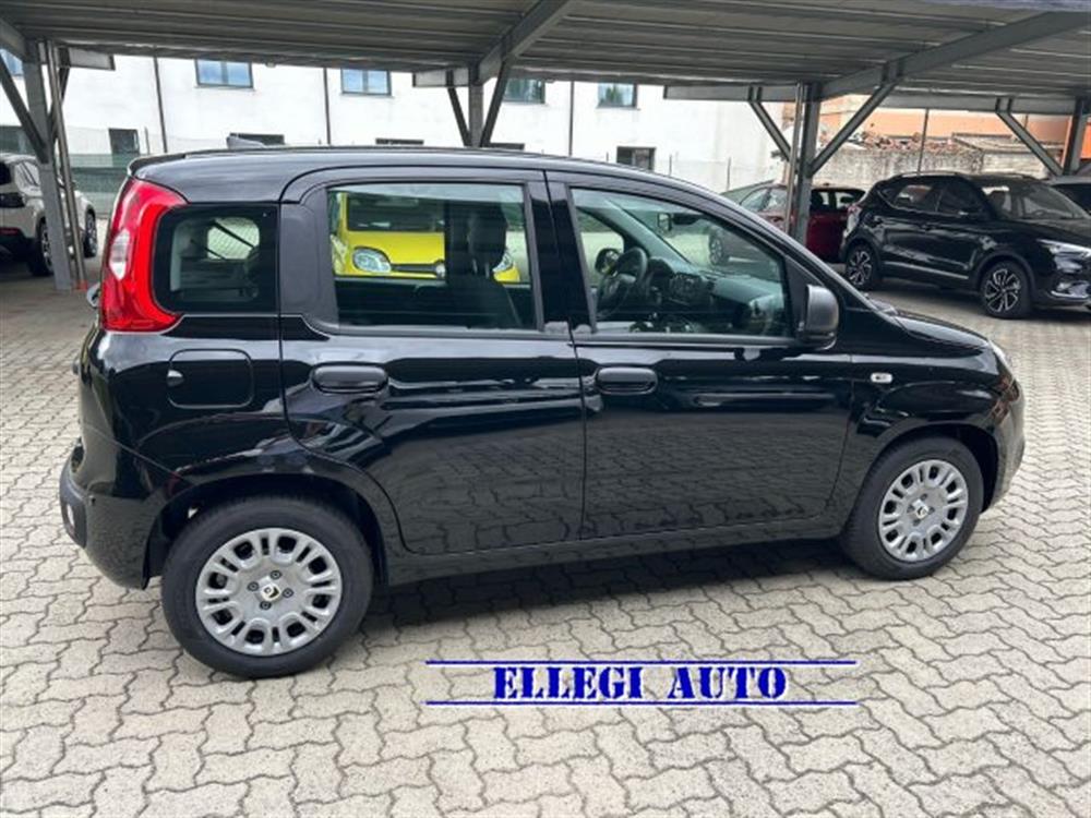Panda Panda PROMO FINANZIAM 1.0