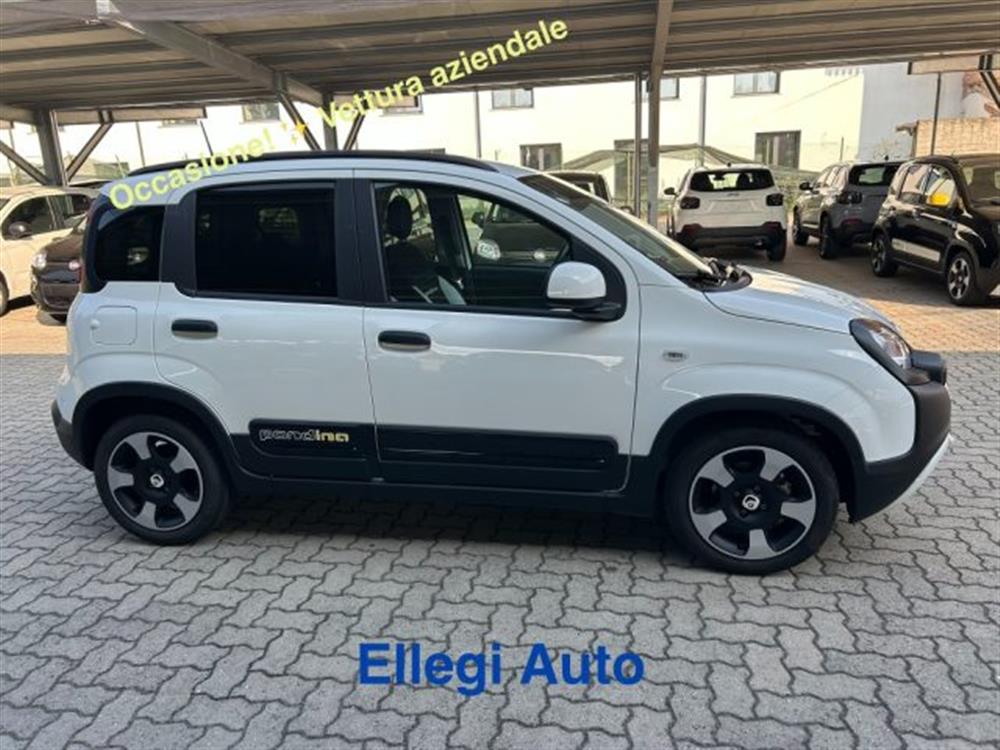 Pandina Pandina PROMO FIN 1.0 65 CV