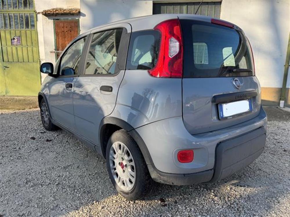 New Panda New Panda IN PROMOZIONE!!!!1.0