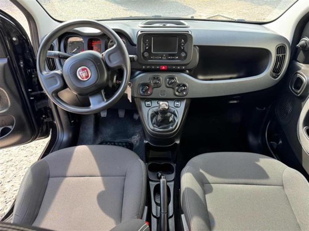 Panda Panda IN PROMOZIONE!!!!1.0