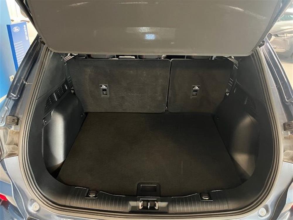 Kuga Kuga 2.0 EcoBlue 120 CV a