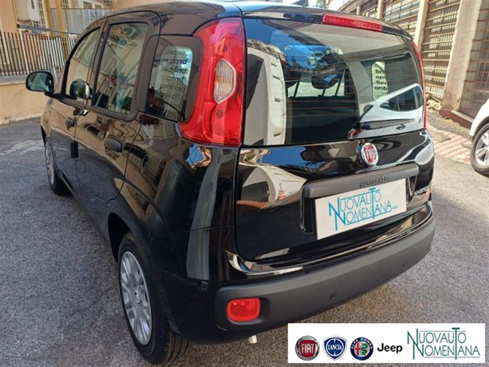 Panda Panda Pandina 1.0 FireFly