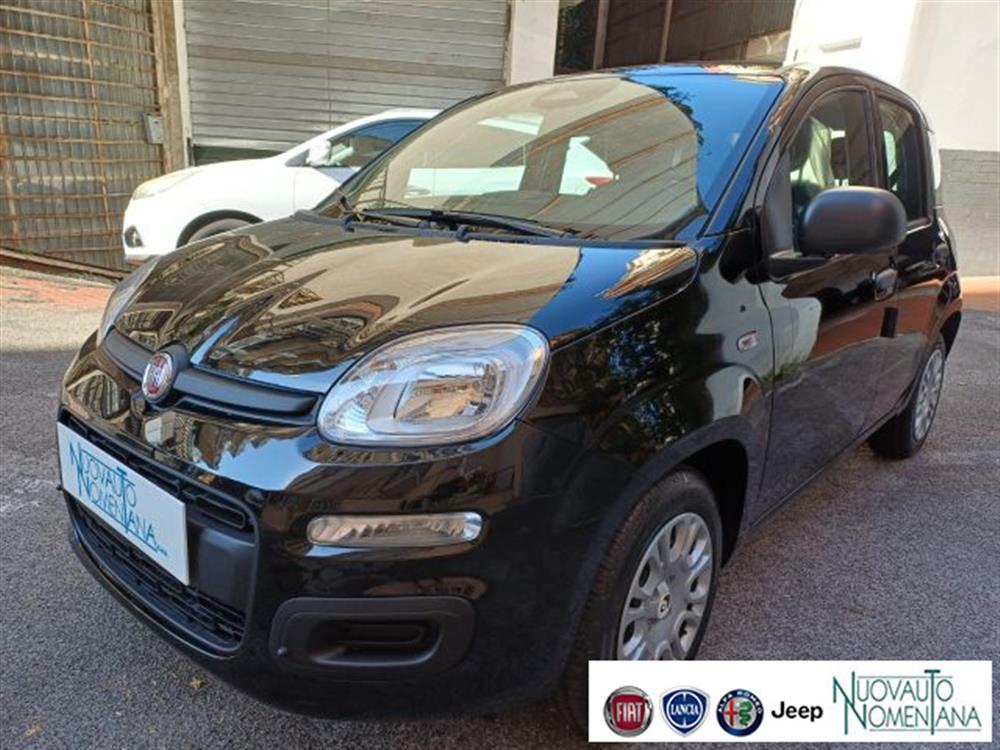 Panda Panda Pandina 1.0 FireFly
