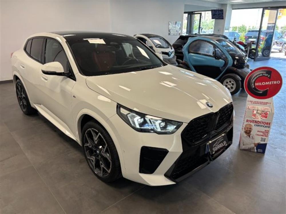 X2 X2 Msport Pro Tetto Pan