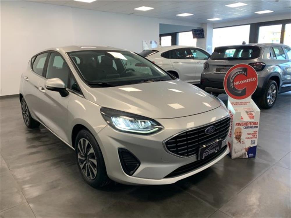 Fiesta Fiesta 1.1 Benzina Titanium