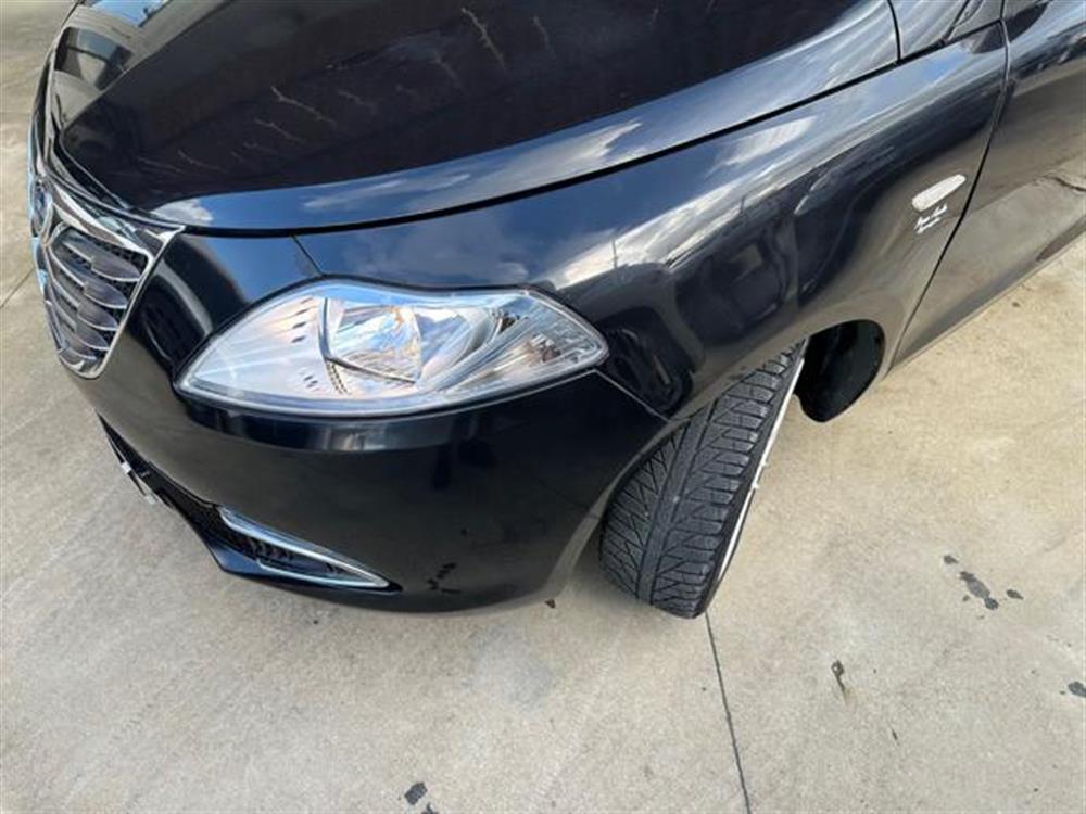 Ypsilon Ypsilon 1.2 5p.S&S Gold Imp.