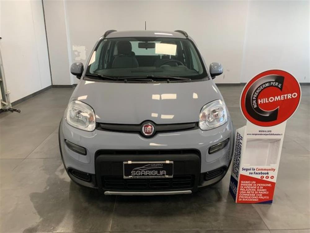 Panda Panda 1.0 Benzina Hybrid C