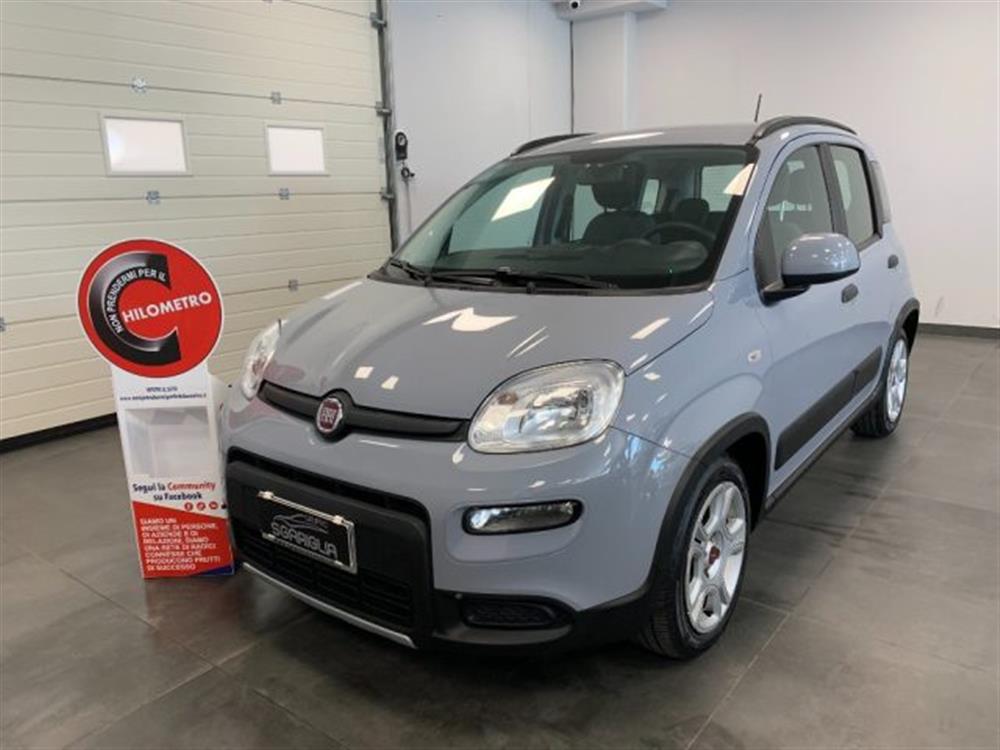 Panda Panda 1.0 Benzina Hybrid C