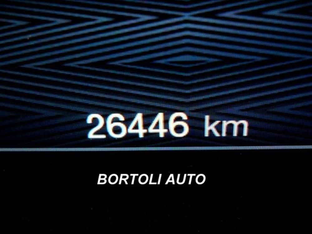 Stelvio Stelvio 2.2 TD 210cv 26.000