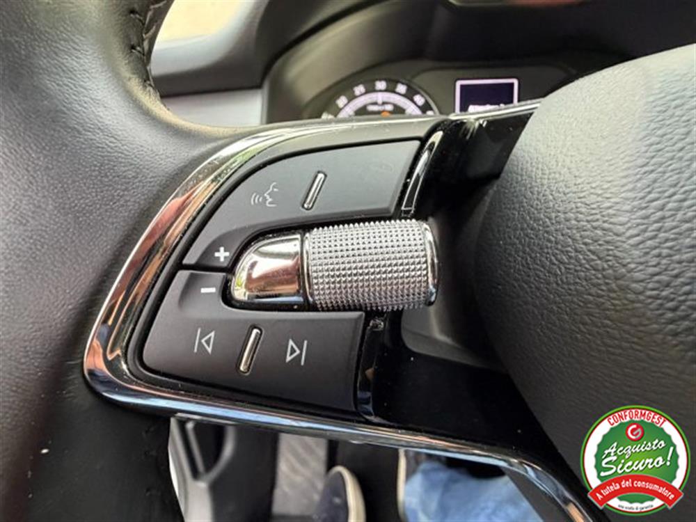 Kodiaq Kodiaq 2.0 TDI EVO SCR DSG