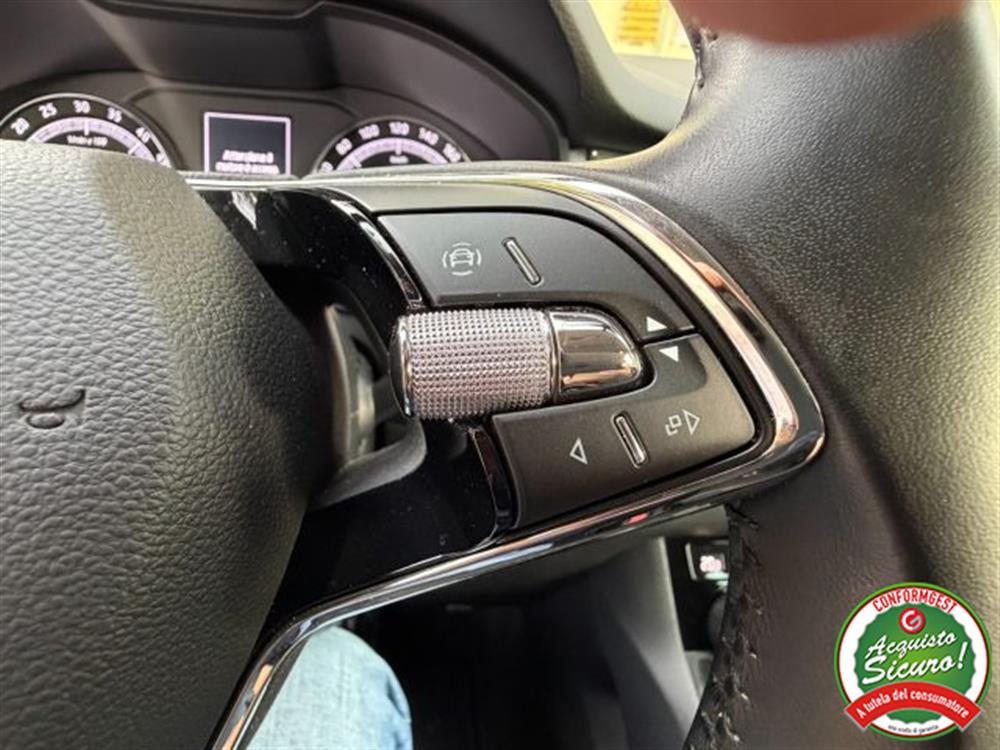 Kodiaq Kodiaq 2.0 TDI EVO SCR DSG