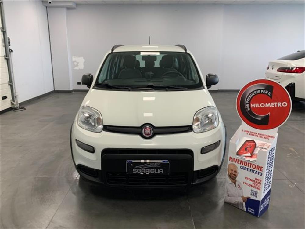 Panda Panda 1.0 Benzina Hybrid C