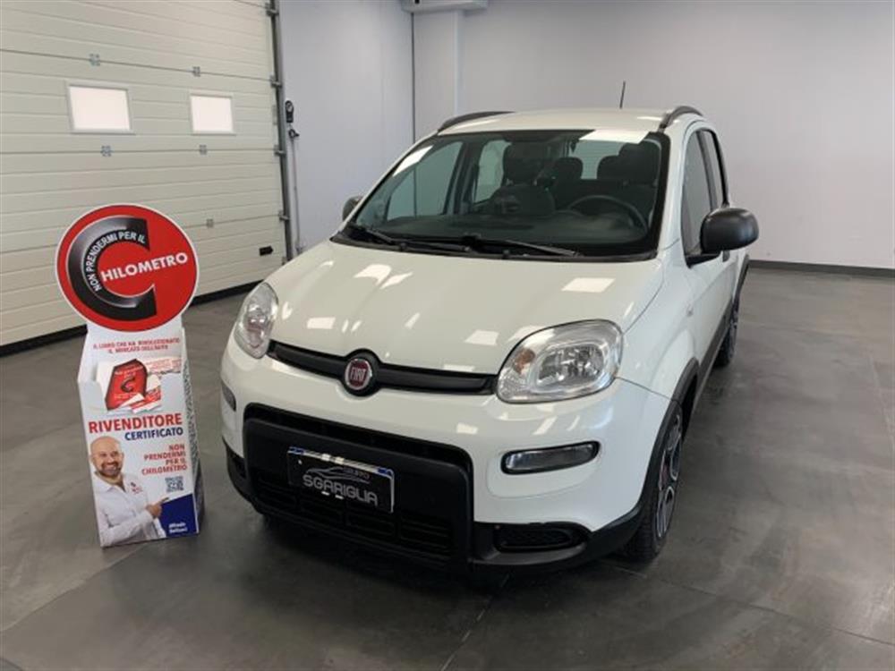 Panda Panda 1.0 Benzina Hybrid C