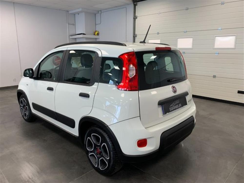 Panda Panda 1.0 Benzina Hybrid C