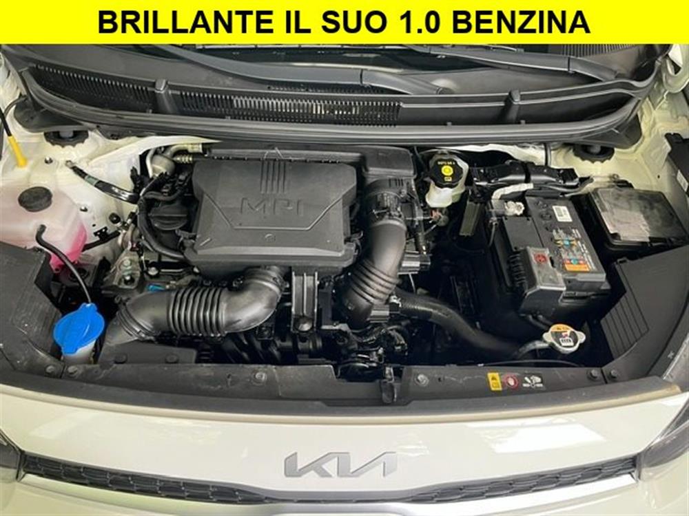 Picanto Picanto 1.0 12V 5 porte