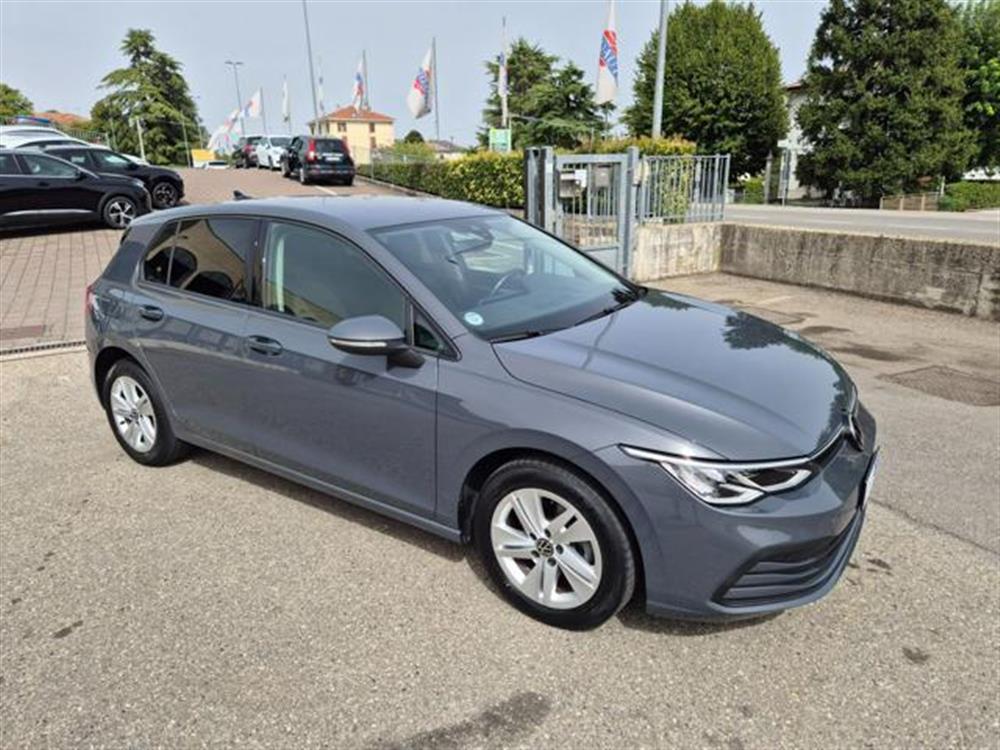 Golf Golf 1.0 eTSI EVO DSG Lif