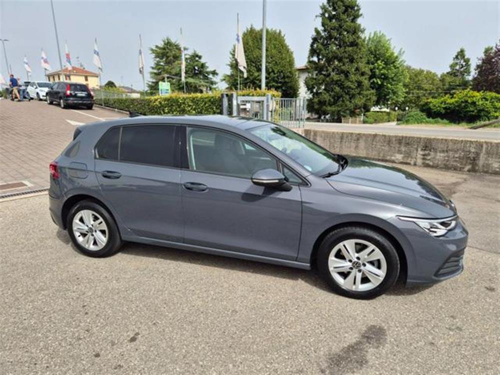 Golf Golf 1.0 eTSI EVO DSG Lif