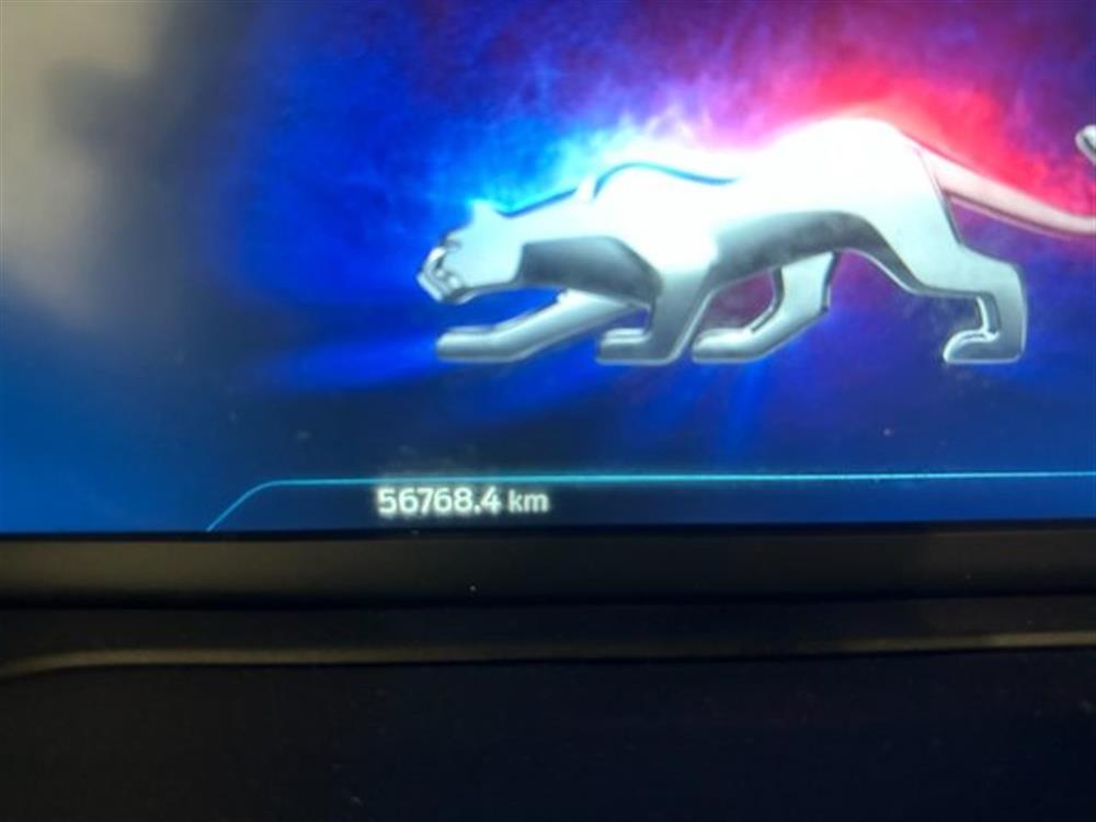 Puma Puma 1.000 BENZINA HYBRID