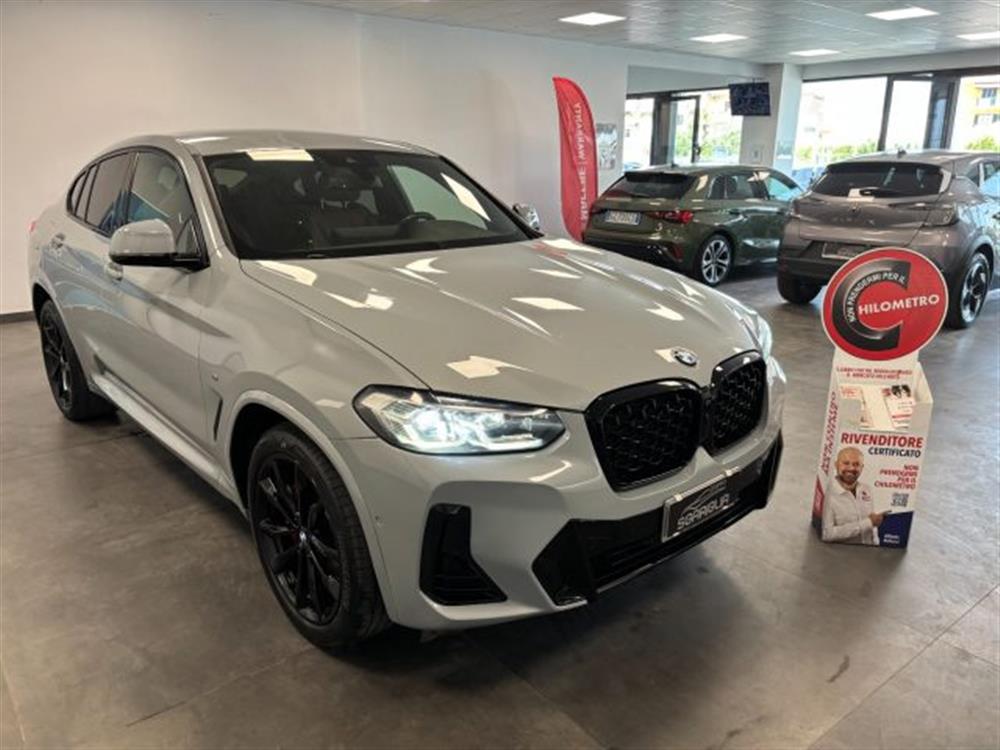 X4 X4 xDrive20d 48V Msport