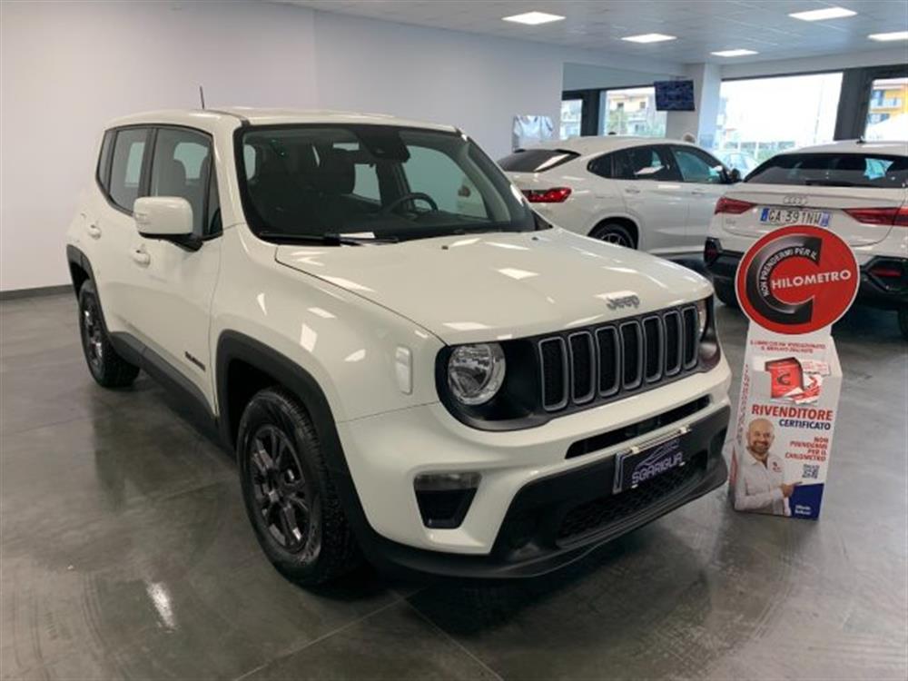 Renegade Renegade 1.6 Mjt Longitude