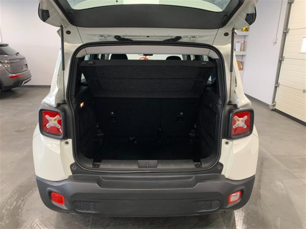 Renegade Renegade 1.6 Mjt Longitude