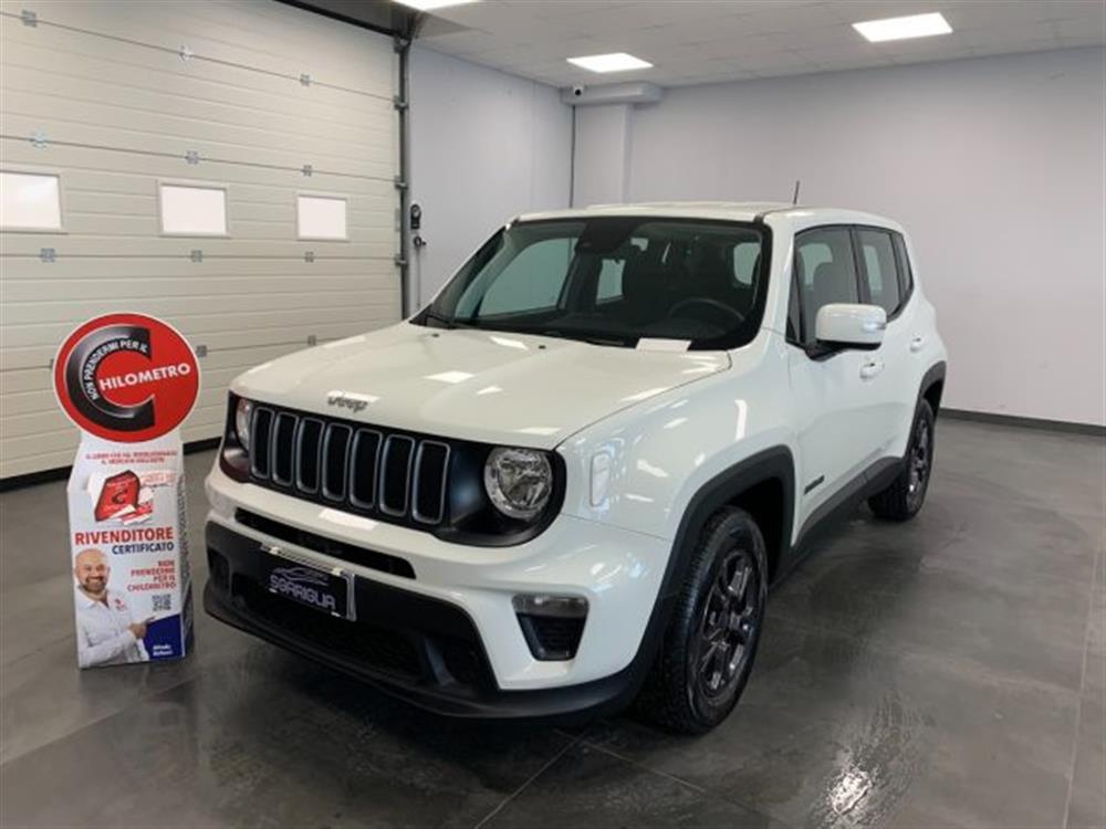 Renegade Renegade 1.6 Mjt Longitude