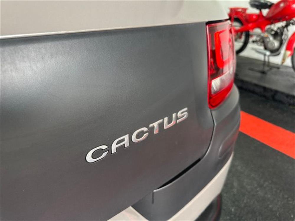 C4 Cactus C4 Cactus BlueHDi 100 Rip Curl