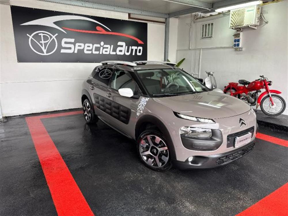 C4 Cactus C4 Cactus BlueHDi 100 Rip Curl