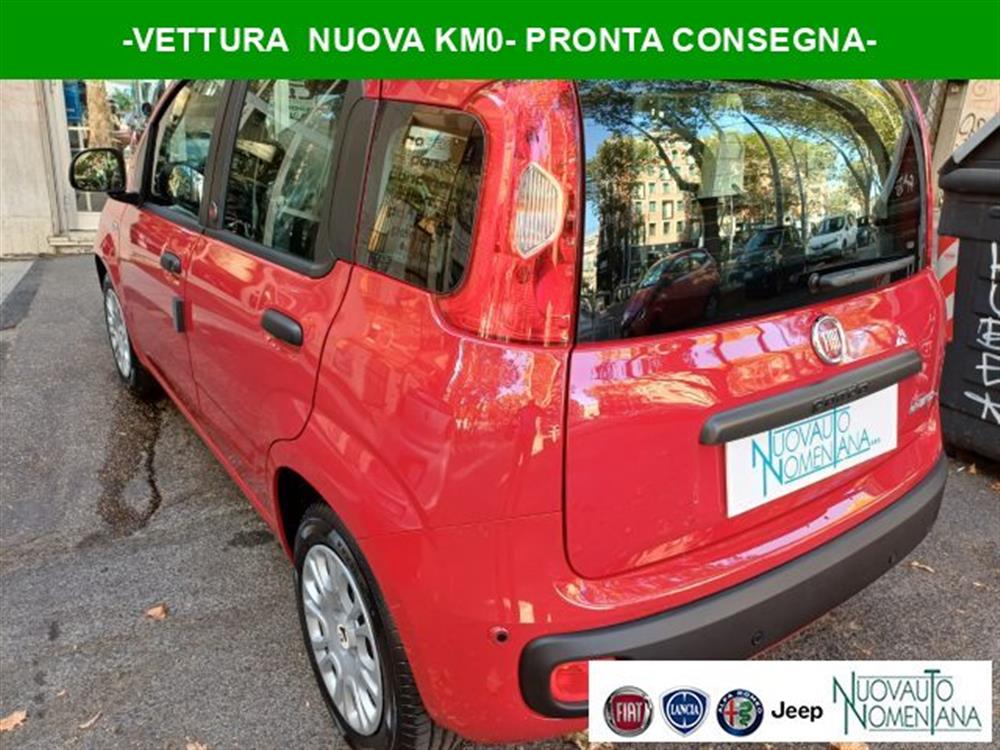 Panda Panda Pandina 1.0 FireFly