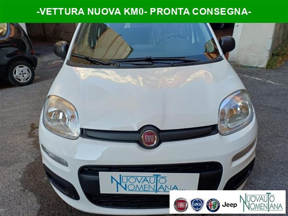 Panda Panda Pandina 1.0 FireFly