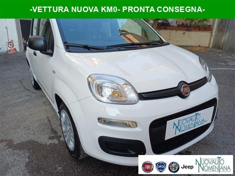 Panda Panda Pandina 1.0 FireFly