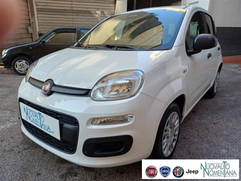 Panda Panda Pandina 1.0 FireFly