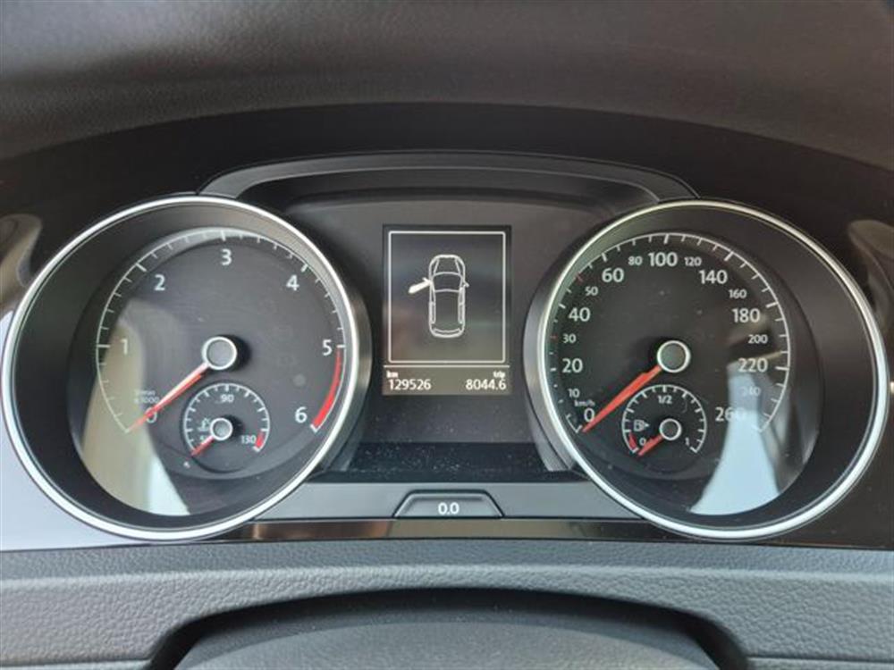 Golf Golf 1.6 TDI 110 CV 5p. H