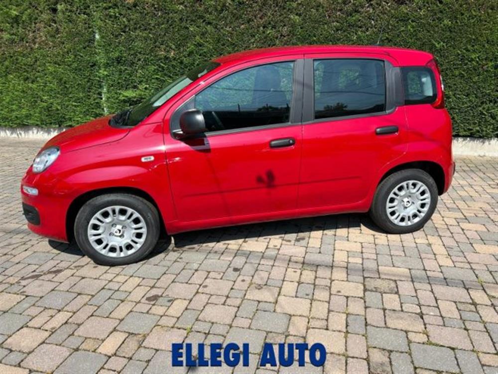 Panda Panda PROMO FINANZIAMENTO