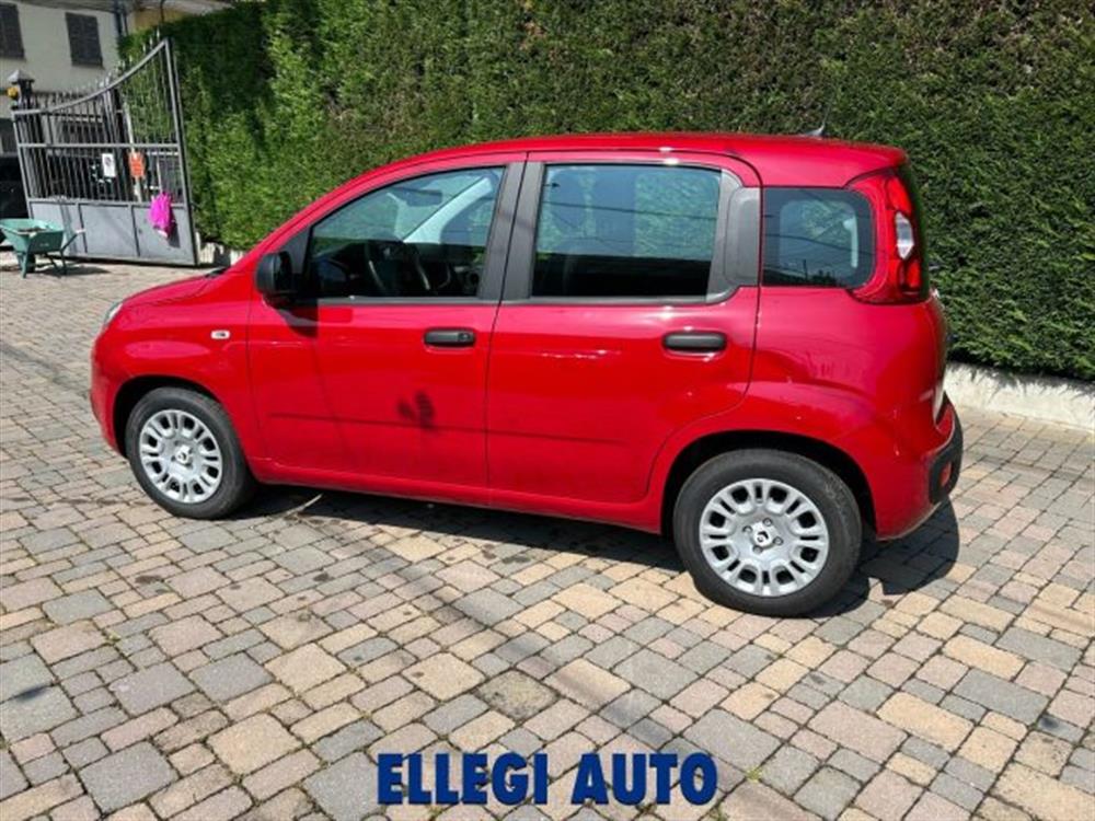 Panda Panda PROMO FINANZIAMENTO