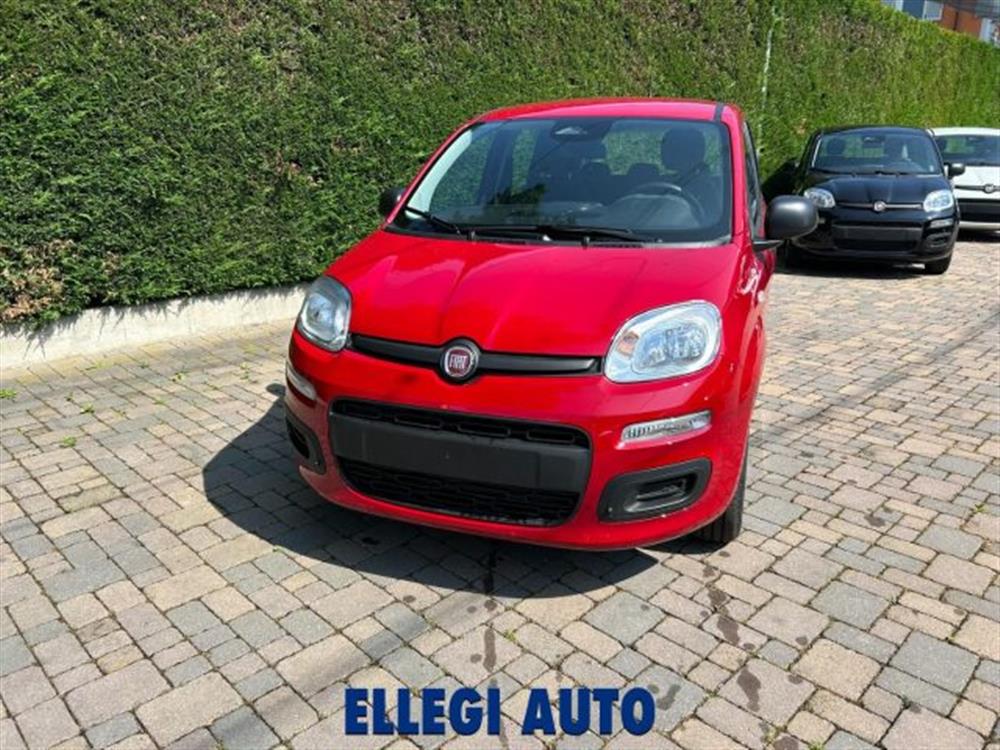 Panda Panda PROMO FINANZIAMENTO