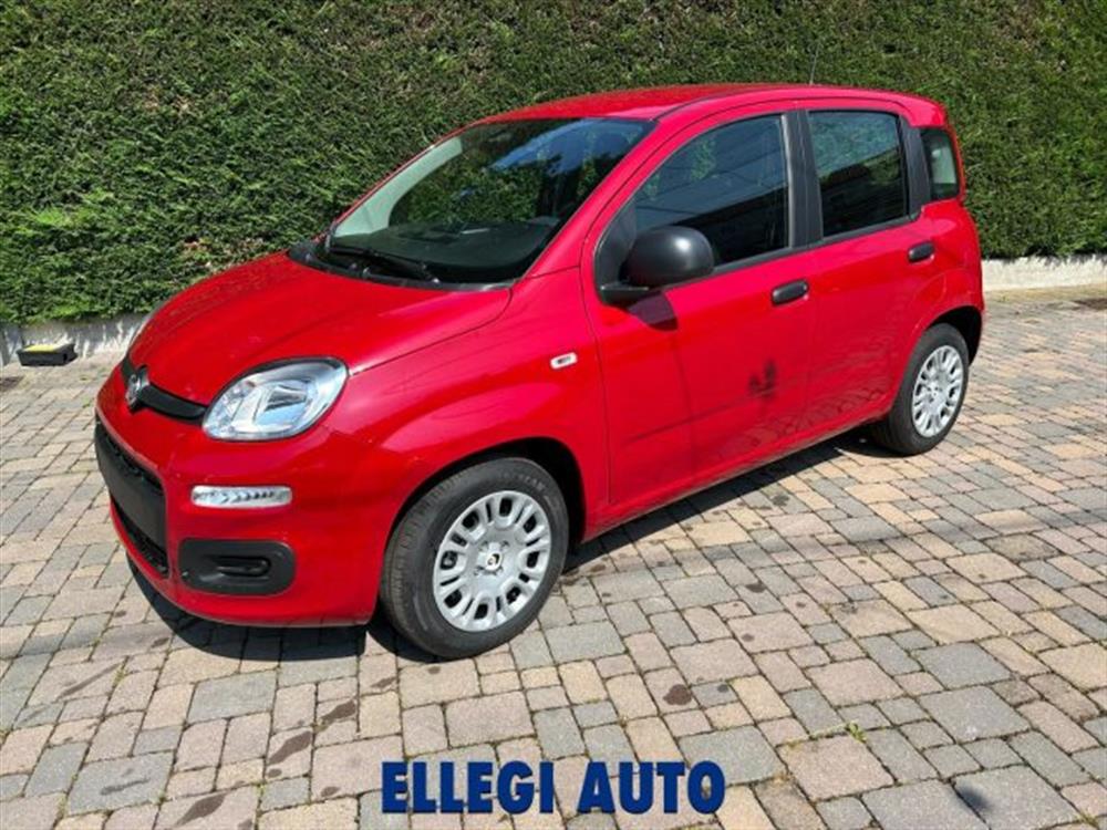 Panda Panda PROMO FINANZIAMENTO