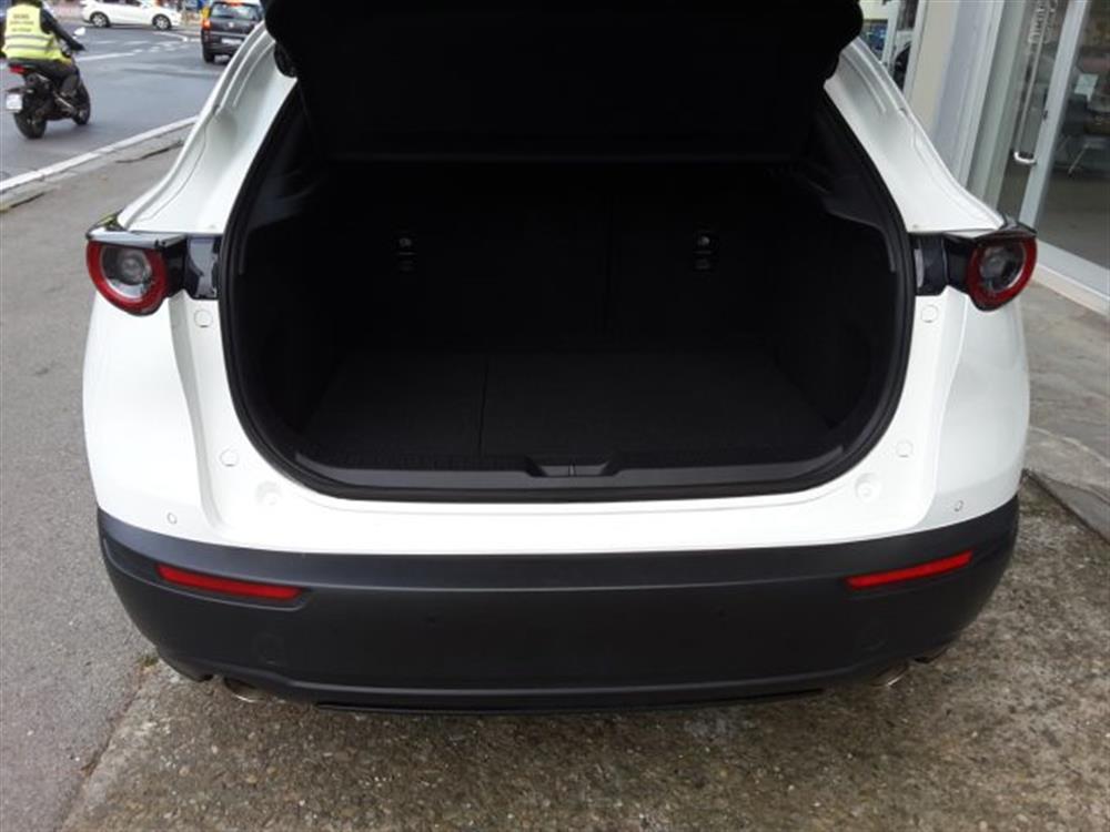 CX-30 CX-30 2.0L e-Skyactiv-X 18